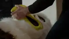 Пожарные Чикаго 11 сезон 16 серия