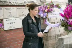 Полиция Чикаго 2 сезон 21 серия